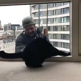 A window washer playing around with a curious cat