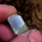 Not Your Average Opal