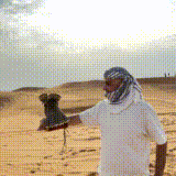 ibrahim murat gunduz falcon video