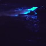 Surfer catches beautiful bioluminescent waves off California coast.