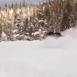 A moose charging through three feet of powder like it’s nothing