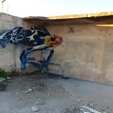 Amazing Graffiti Art