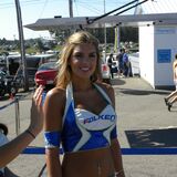 Grid Girls/Pit Babes (Vol 3)