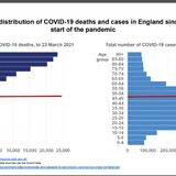 Coronavirus - Data Analysis Thread - Page 24 - News, Politics &amp; Economics - PistonHeads UK