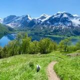 Norwegian summer paradise