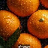 Oranges Benefits: Orange is a storehouse of nutrients  #santra #orange #viral #explore #shorts #facts