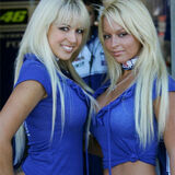 Grid Girls/Pit Babes (Vol 3)