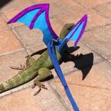 Onwers gets his pet lizard a pair of wings which move when the lizard breathes