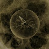 Movie cover image